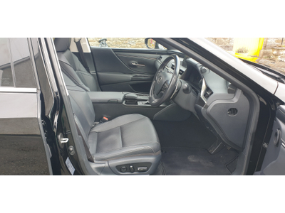 Imagine pentru ID 3294904