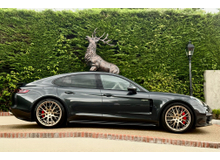 Enhanced Search Image