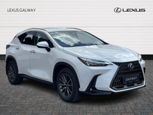 2024 Lexus NX 450 h+