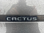 2021 CITROEN C4 CACTUS CACTUS FLAIR BLUEHDI 100 4DR