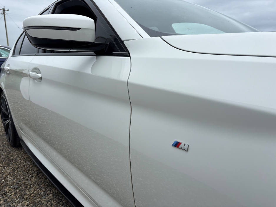 2019 BMW 5 Series 2L Diesel For Sale Images