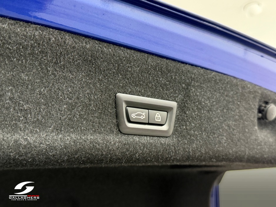 2021 BMW 3 Series 2L Diesel For Sale Images
