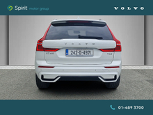 Enhanced Search Image