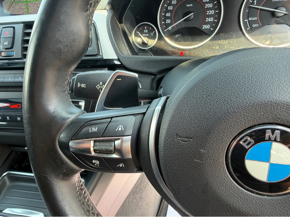 2014 BMW 3 Series 2L Diesel For Sale Images