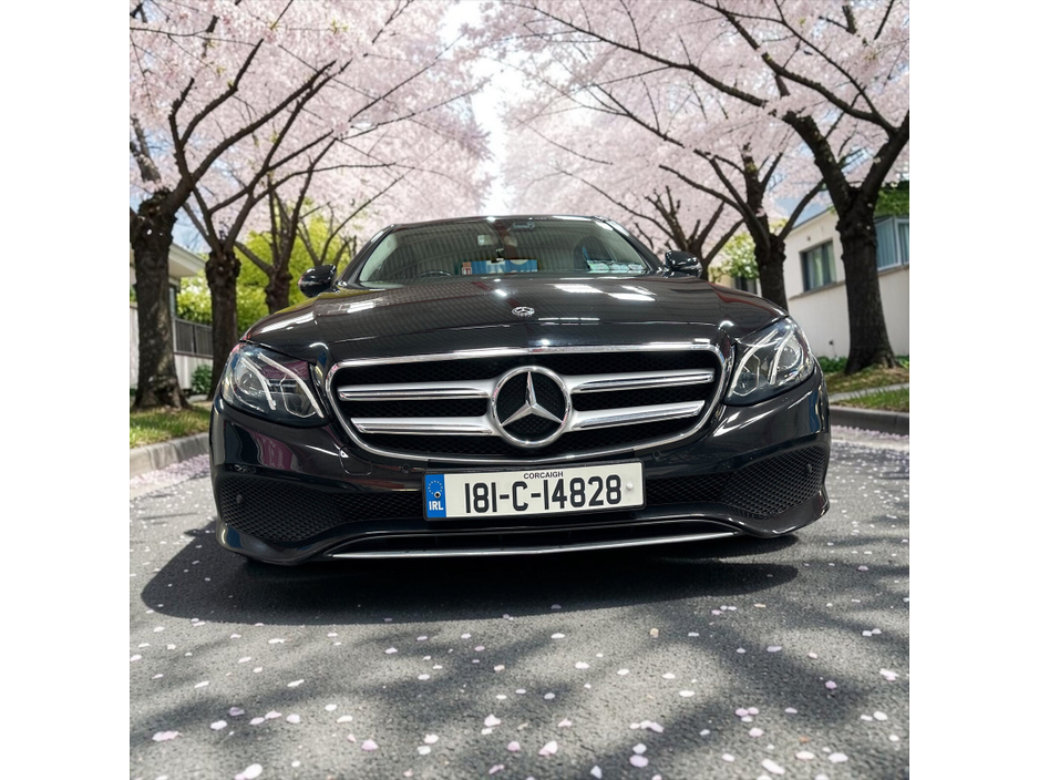 2018 Mercedes-Benz E Class For Sale Images