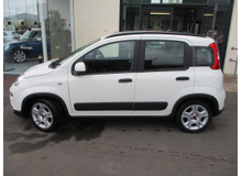 2023 Fiat Panda 1L Petrol For Sale Images