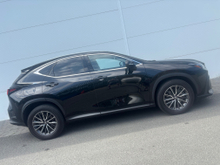 2023 Lexus NX 450 h+ 2.5L Hybrid For Sale Images