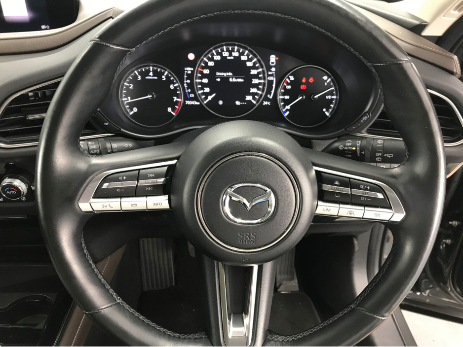 2021 Mazda CX-30 2.0L Petrol For Sale Images