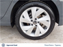 2025 VOLKSWAGEN GOLF GOLF EDITION 75 1.5 TSI 116HP