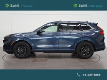 Enhanced Search Image