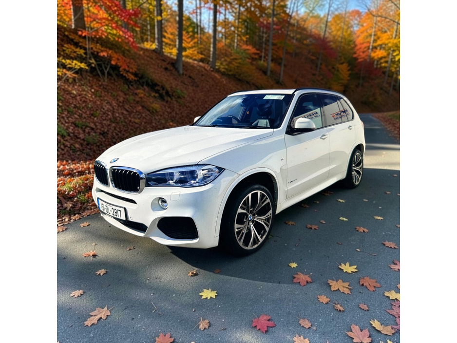 2019 BMW X5 3L Diesel For Sale Images