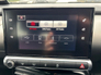 2017 CITROEN C4 CACTUS BlueHDi 120 S&S EAT6 Feel Automatic