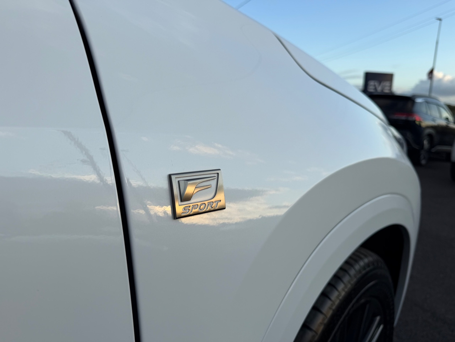 2023 Lexus NX 350h 2.5L Petrol Hybrid For Sale Images