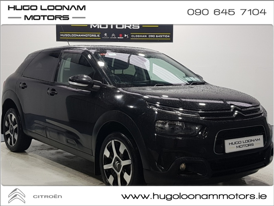 dracaenas plant Dracaena Golden Heart main image 0