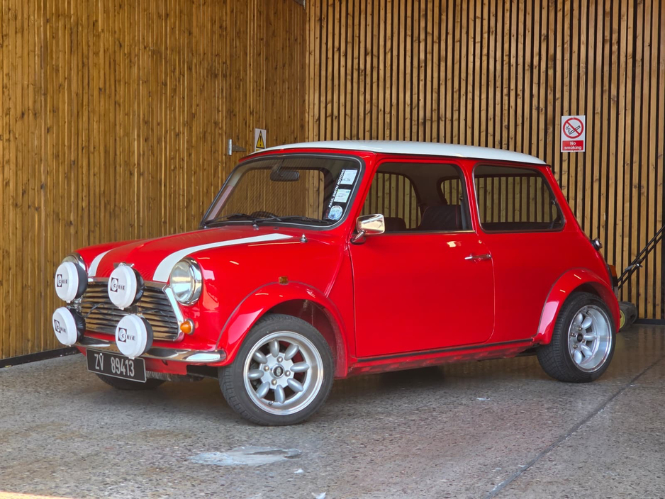 Used Rover Mini 1993 in Dublin