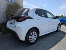 Enhanced Search Image