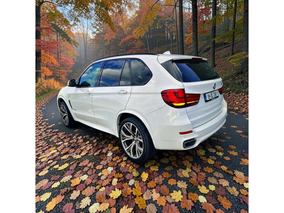 2019 BMW X5 3L Diesel For Sale Images