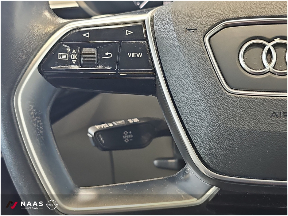 Audi e-tron TECHNIK 55 QUATTRO SPORTBACK — thumbnail 19