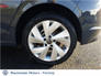 2025 VOLKSWAGEN GOLF GOLF EDITION 75 1.5 TSI 116HP