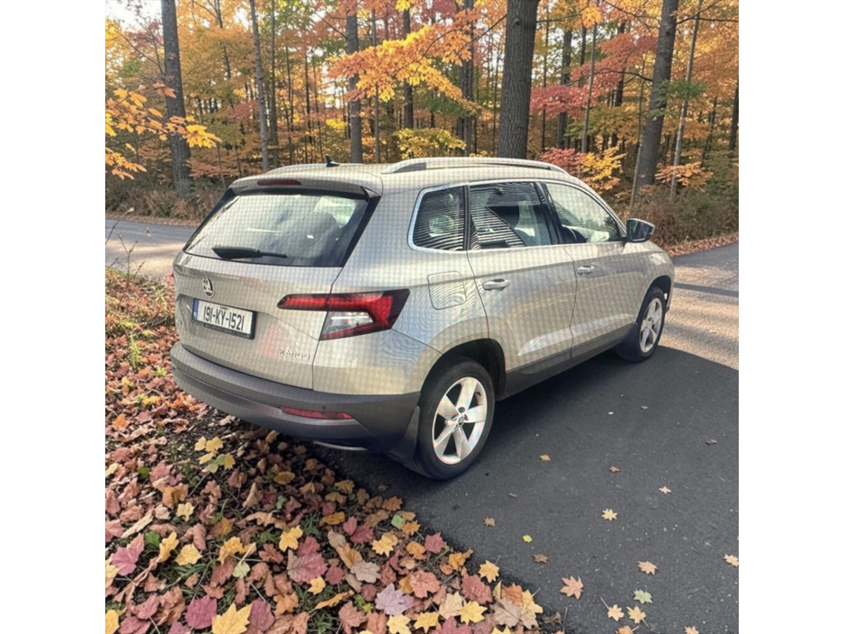 2019 Skoda Karoq 1L Petrol For Sale Images