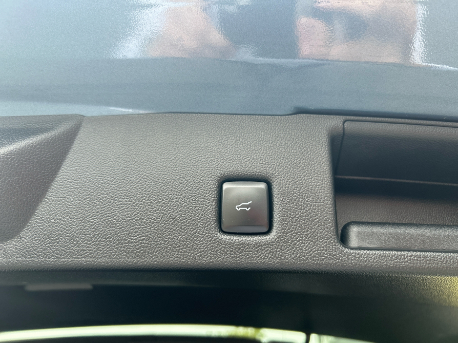 2023 Ford Kuga 1.5L Diesel For Sale Images