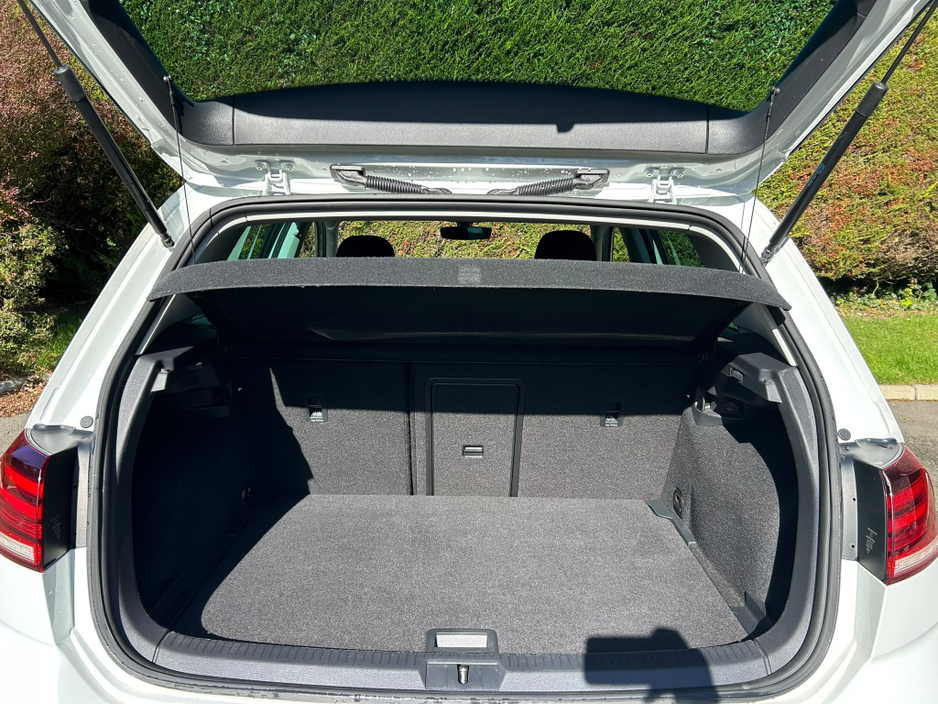 2019 Volkswagen Golf 1.6L Diesel For Sale Images