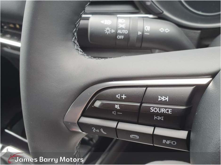 2025 Mazda CX-30 2.0L Petrol For Sale Images