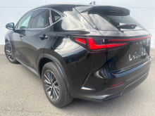 2023 Lexus NX 450 h+ 2.5L Hybrid For Sale Images