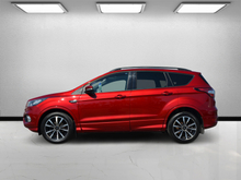 2019 Ford Kuga 1.5L Diesel For Sale Images