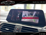 2020 BMW X3 xDrive 20d xLine AUTOMATIC PANORAMIC SUNROOF / ONLY 89KM / IRISH CAR