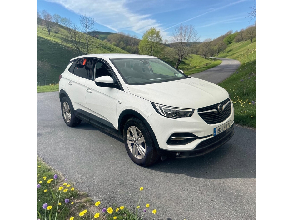 2019 Vauxhall Grandland X For Sale Images