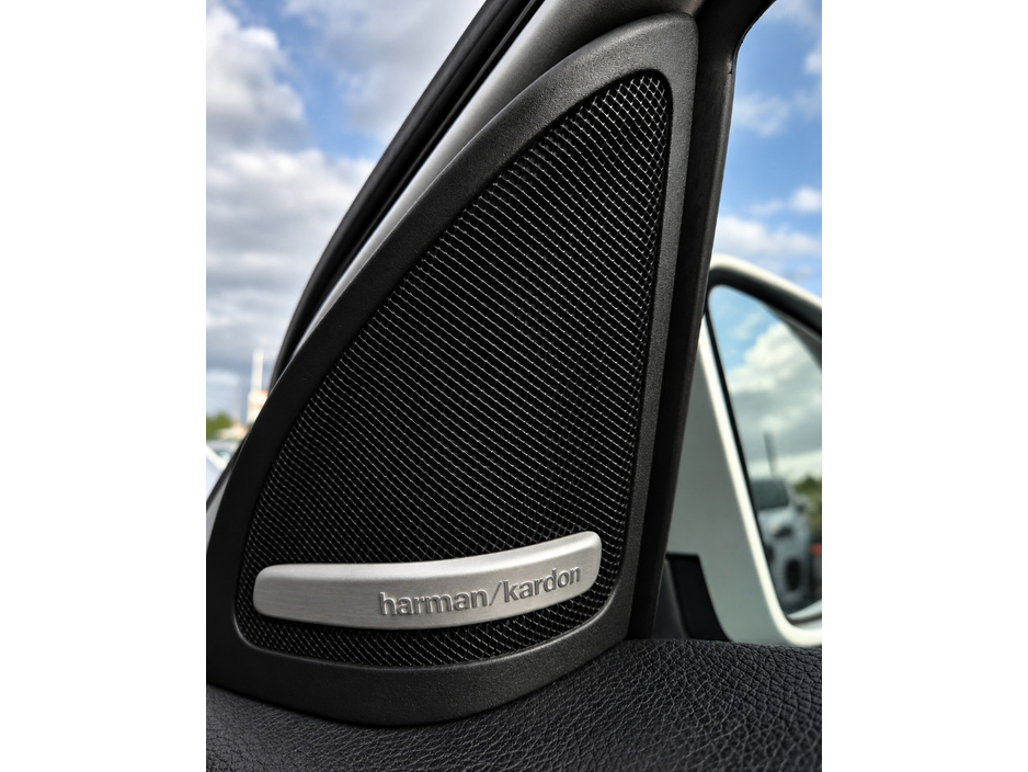 2016 Mercedes-Benz A Class 2L Petrol For Sale Images