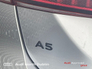 2025 AUDI A5 A5 Avant 40 TDI 204HP SE