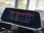 2020 BMW X3 xDrive 20d xLine AUTOMATIC PANORAMIC SUNROOF / ONLY 89KM / IRISH CAR