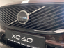 2026 VOLVO XC60 Mulberry Red Plus