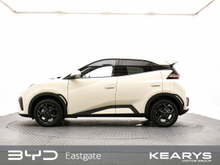 Enhanced Search Image