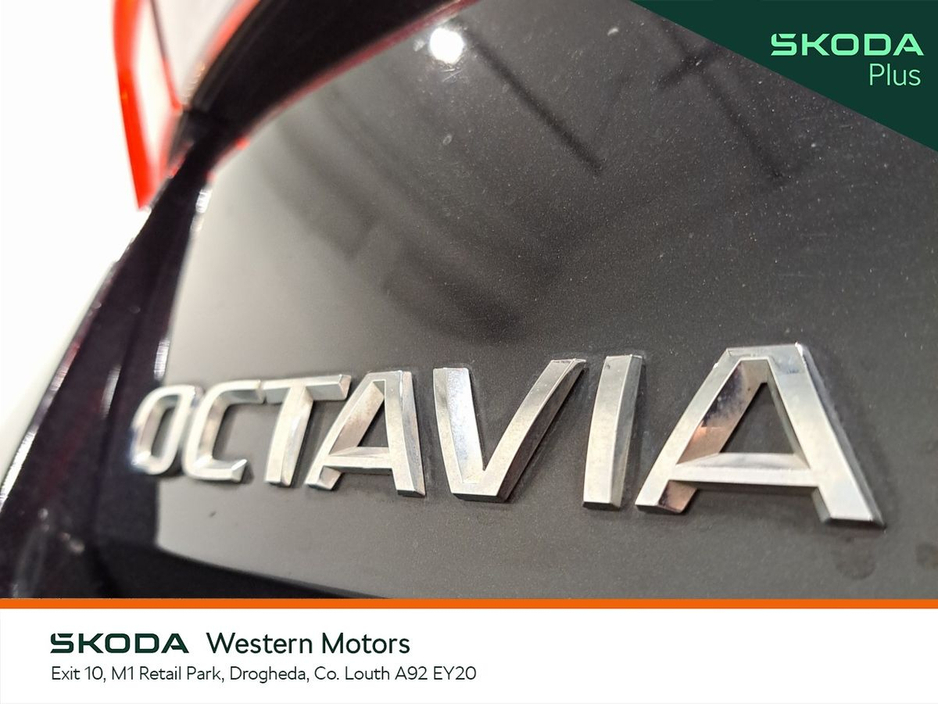 Skoda Octavia OCTAVIA STY 2.0TDI 115HP — thumbnail 23