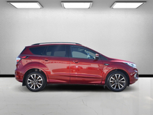 2019 Ford Kuga 1.5L Diesel For Sale Images