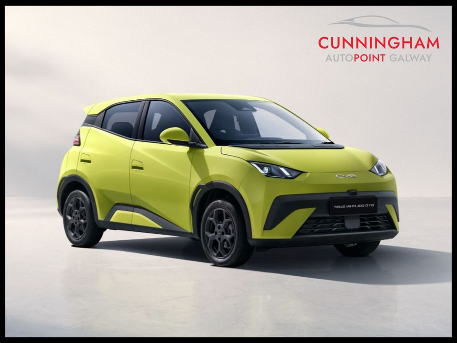 2026 BYD Dolphin Surf