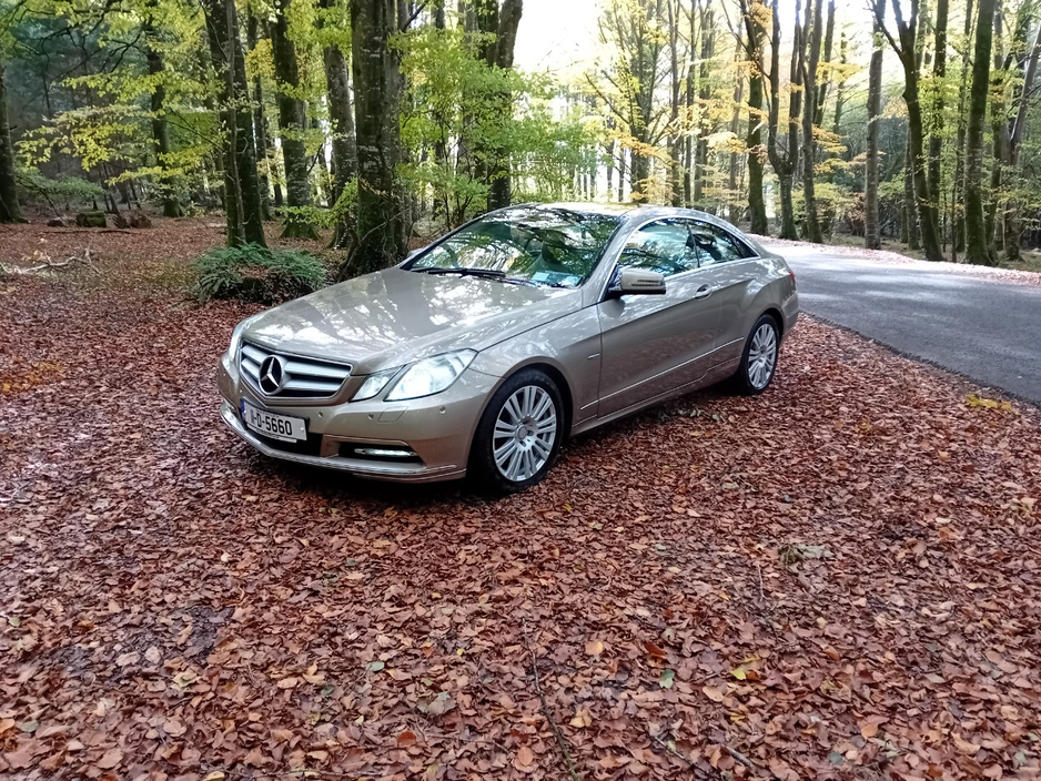 Used Mercedes-Benz E-Class 2011 in Laois