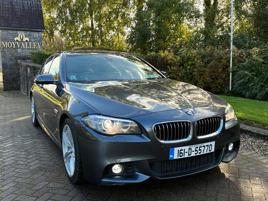 2016 BMW 5 Series 2L Diesel For Sale Images