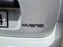 2024 Fiat Panda 1L Petrol For Sale Images