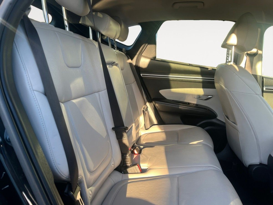 2023 Hyundai Tucson 1.6L Diesel For Sale Images