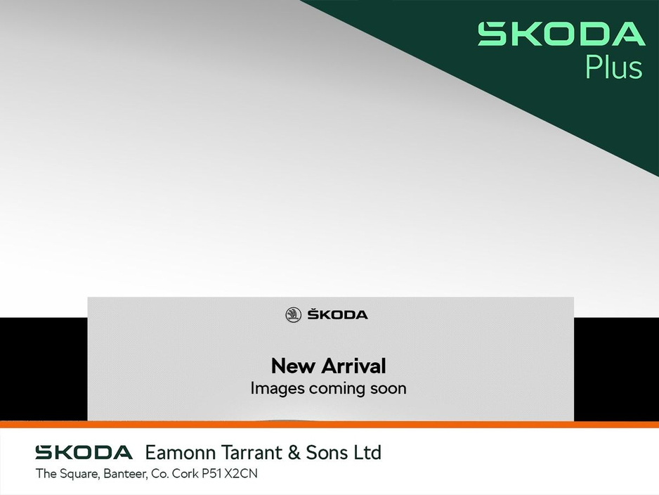 2024 Skoda Kodiaq For Sale Images
