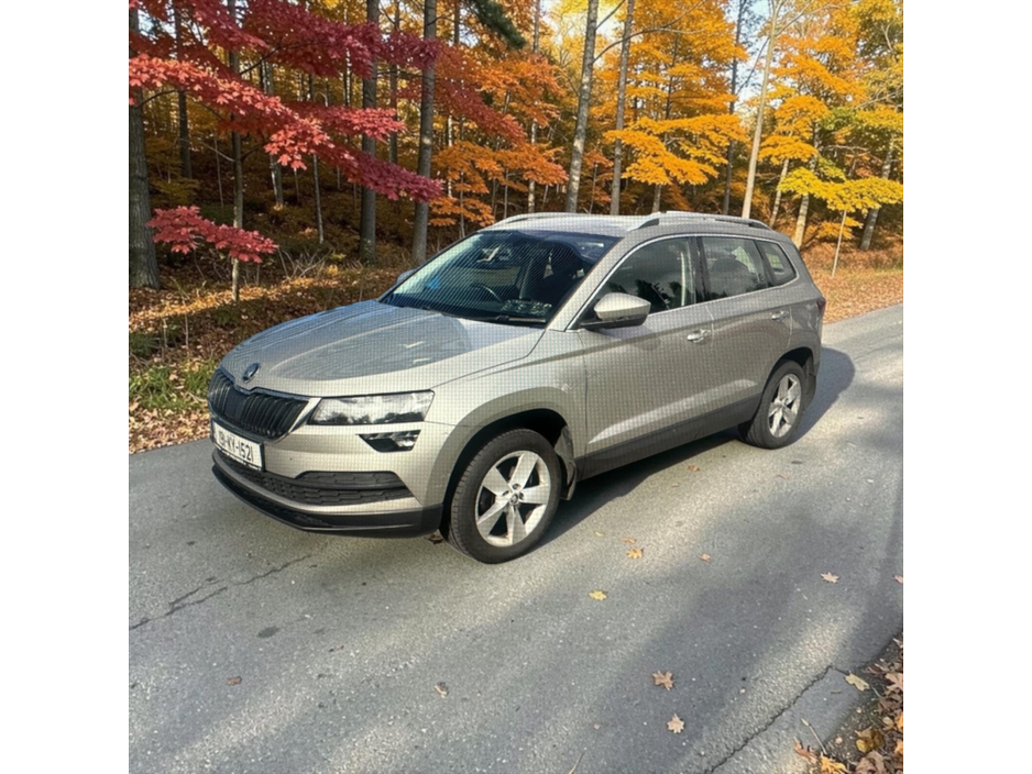 2019 Skoda Karoq 1L Petrol For Sale Images