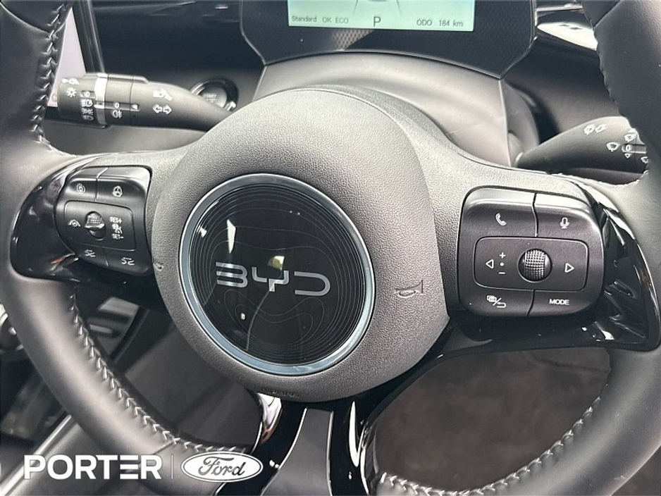 BYD Dolphin ACTIVE EV — thumbnail 40