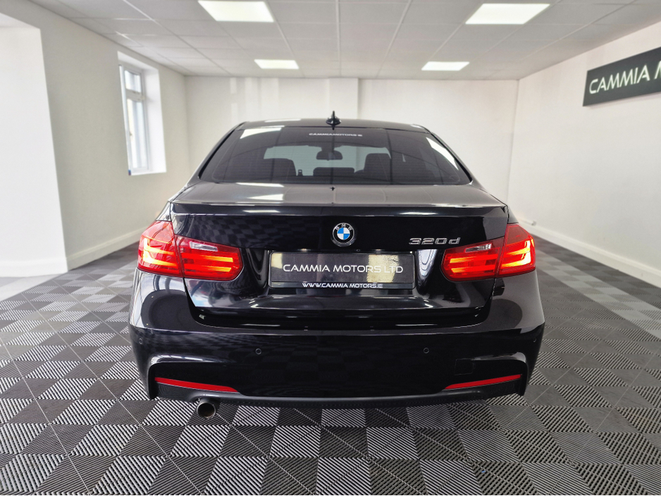 2015 BMW 3 Series 2.0L Diesel from Cammia Motors Ltd CarsIreland.ie