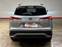Enhanced Search Image