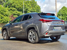 Enhanced Search Image