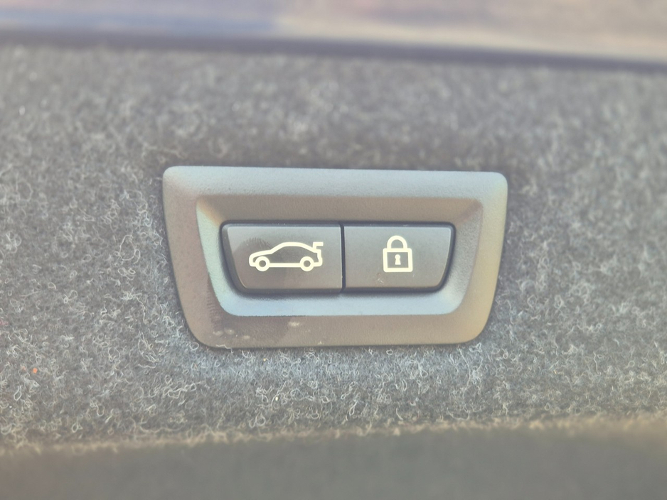 2021 BMW 5 Series 2L Diesel For Sale Images